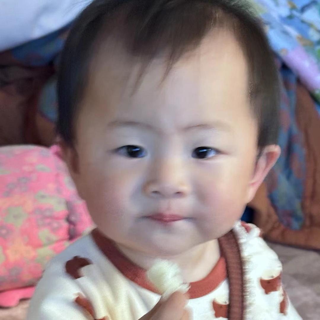 十三楼的大笨象🐘