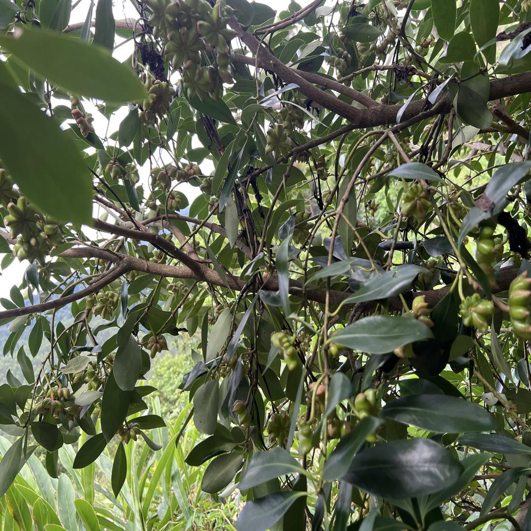 韦友春晖易春精品小铺