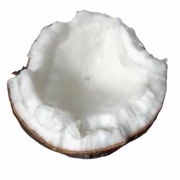 椰子洗洗脸