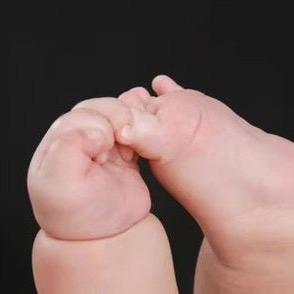 东北大馅馄饨饺子