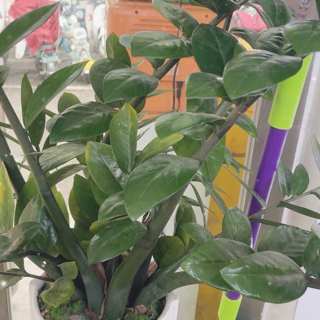 注销不用了