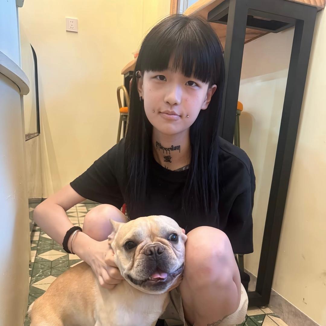龙猫