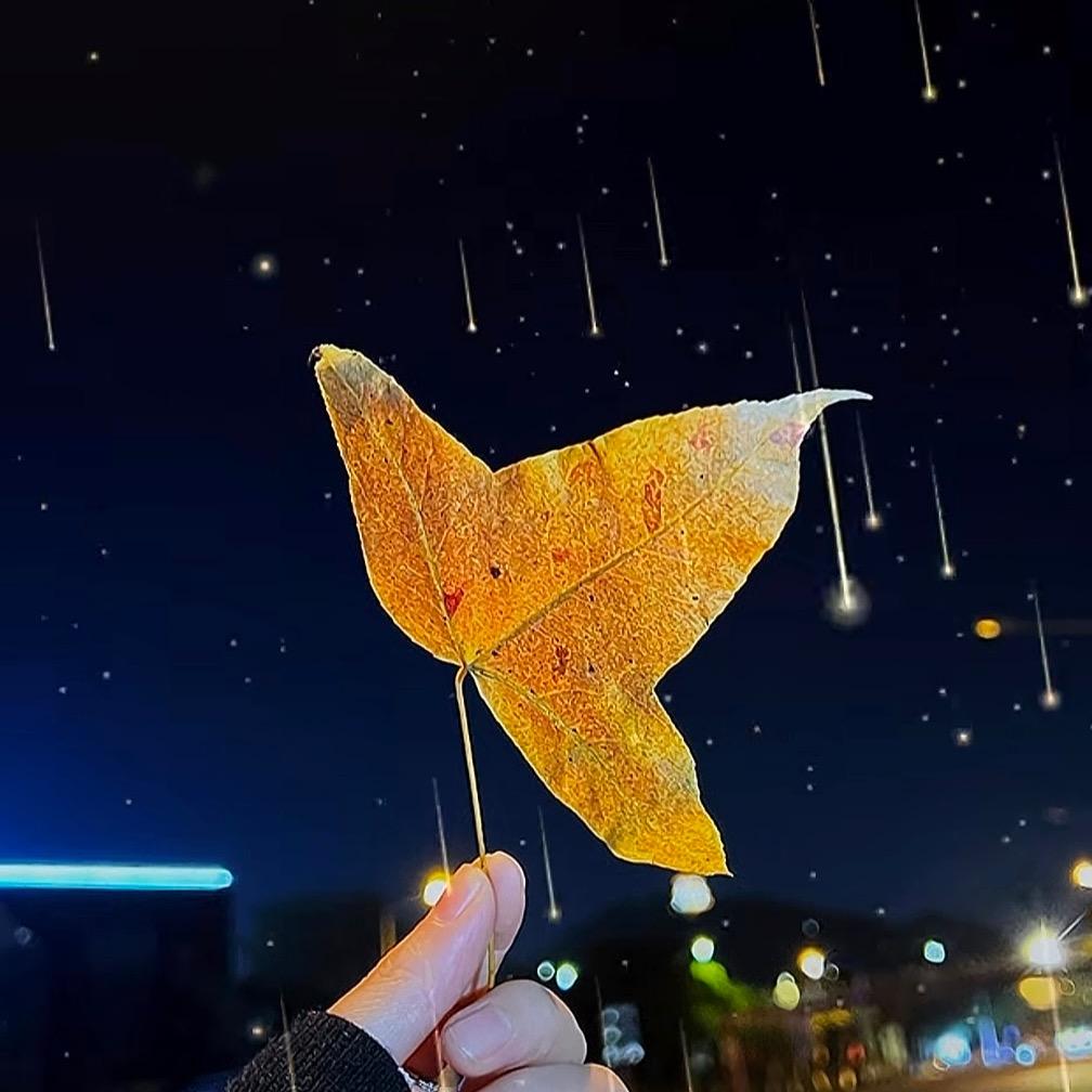 菠萝🍍🍍