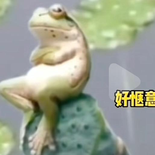 李 干  嘛