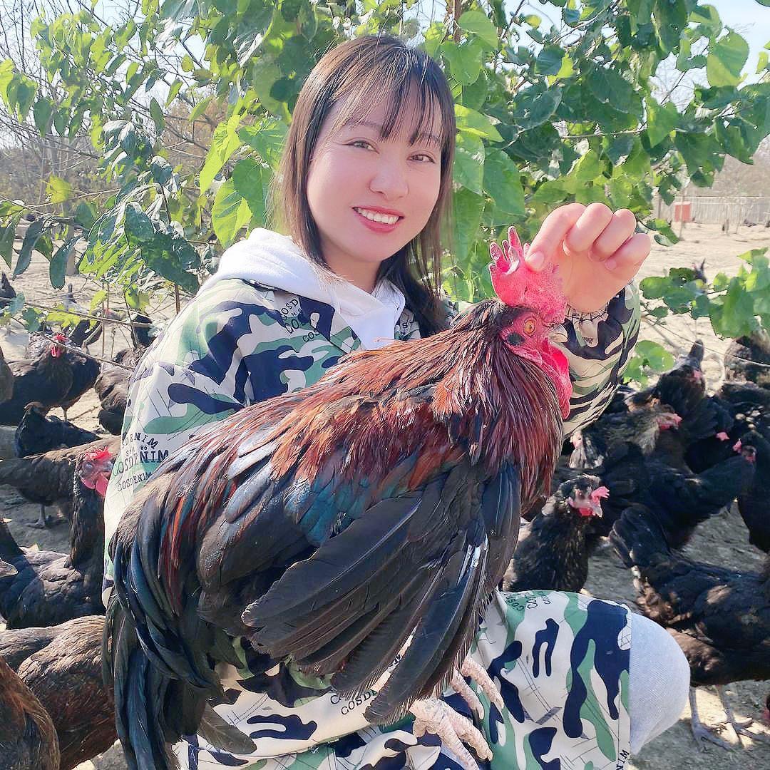 小七家@散养黑凤土鸡