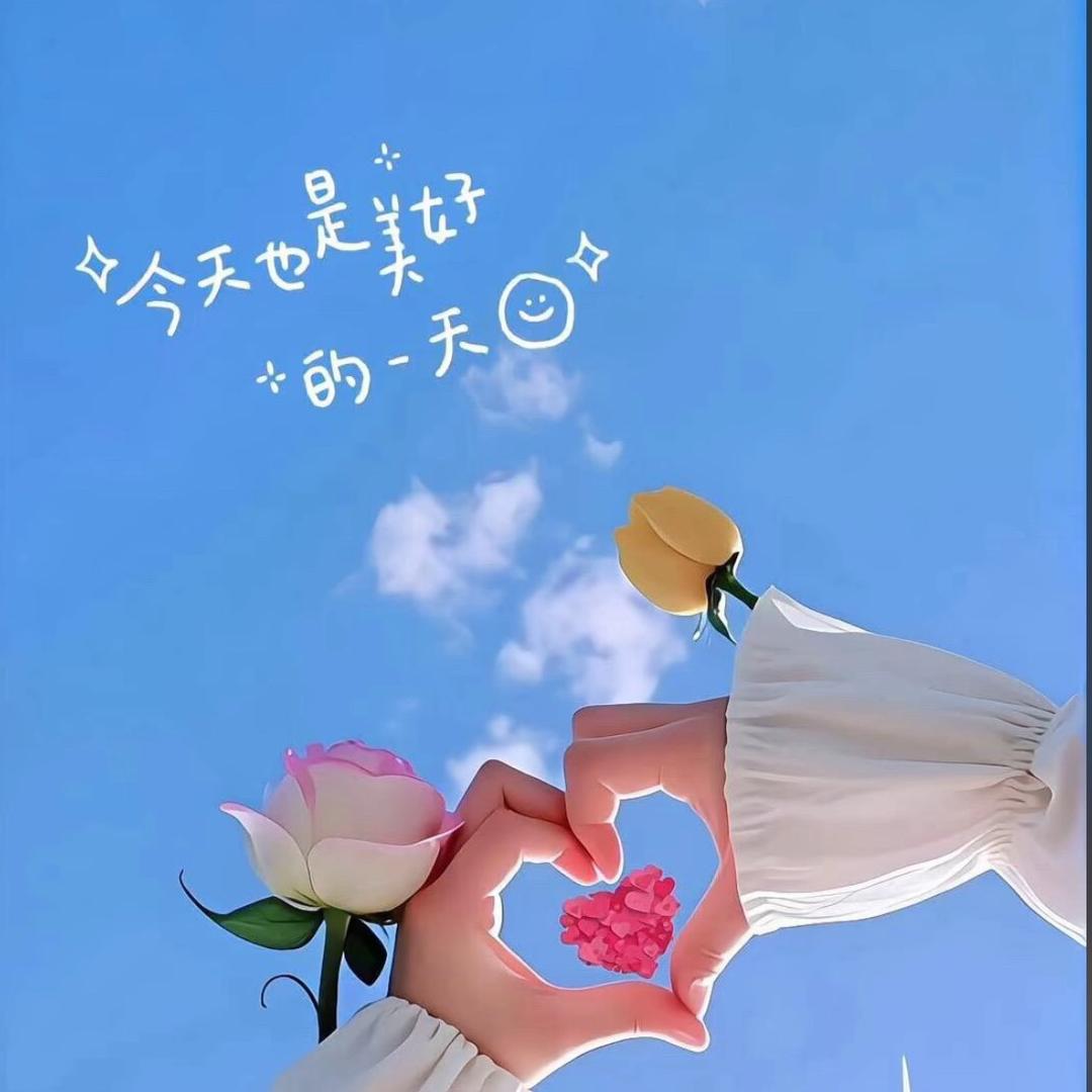 大冰冰的店