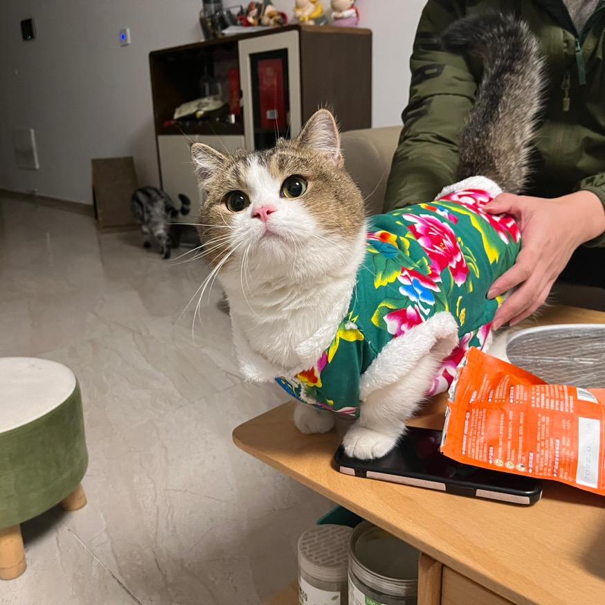 大脑袋泡泡