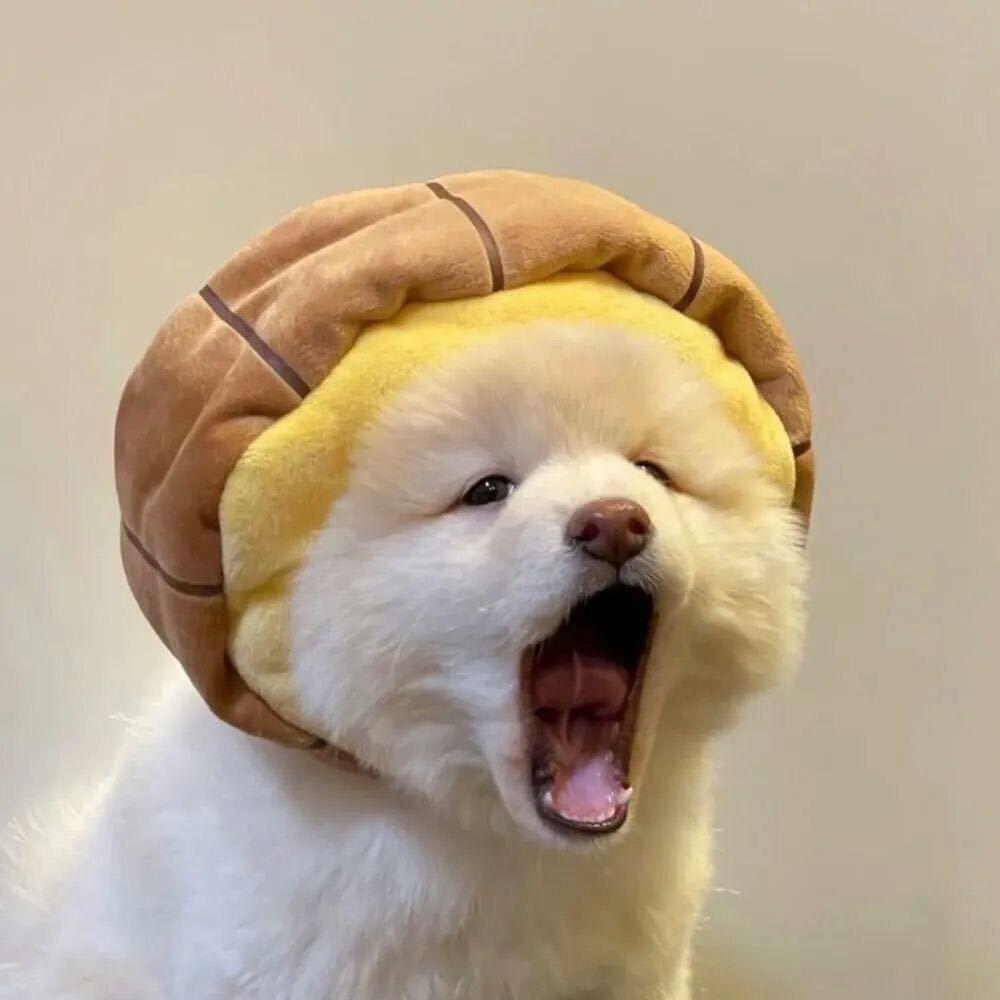 小🐰乖乖