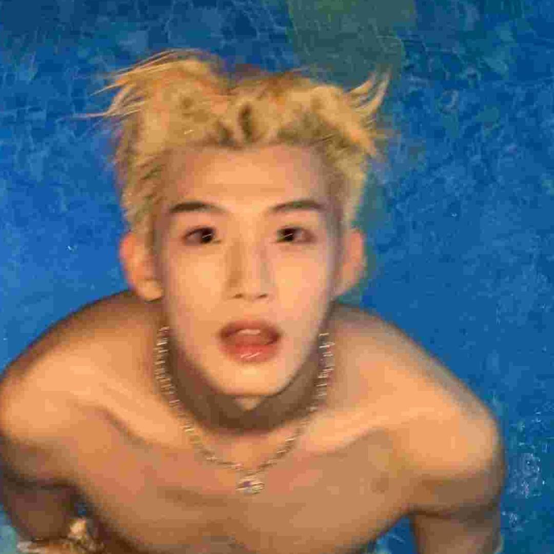 鲨鱼睡不醒