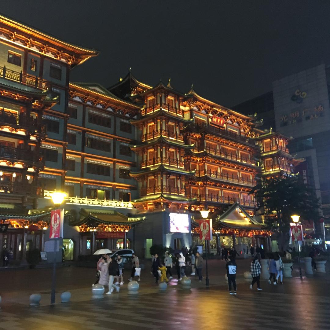 春枫林宠粉2号