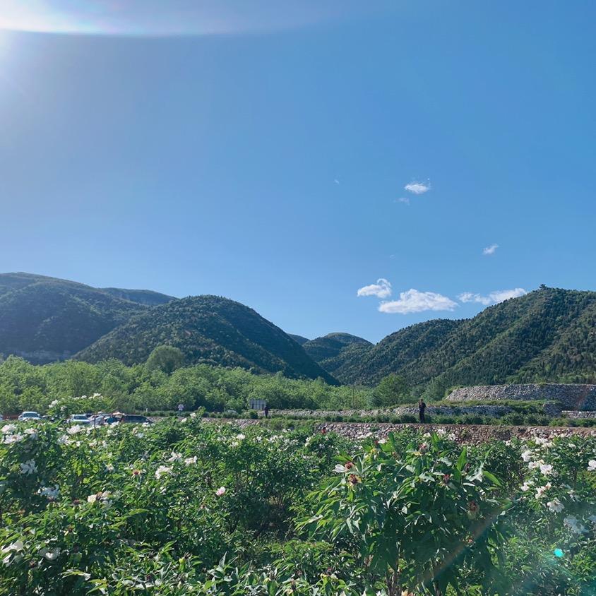 戴（请勿连赞）