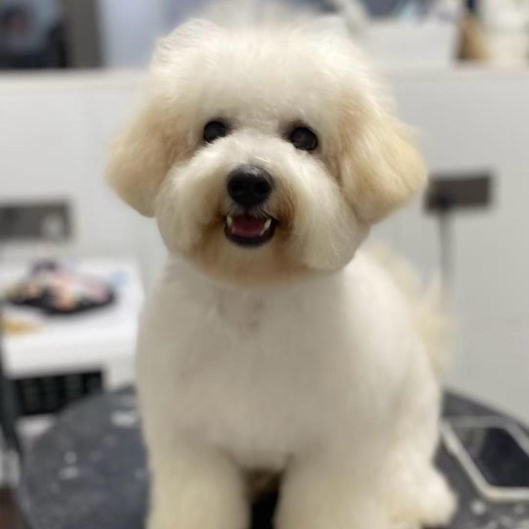 中年流浪的日常