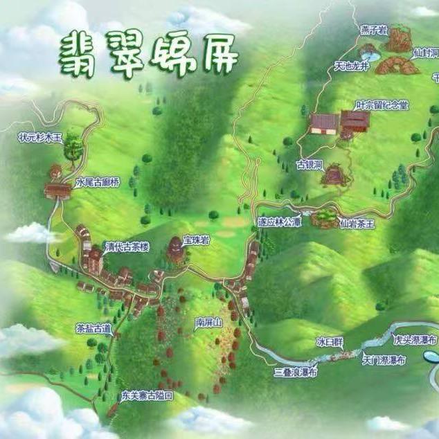 不会直播的大个