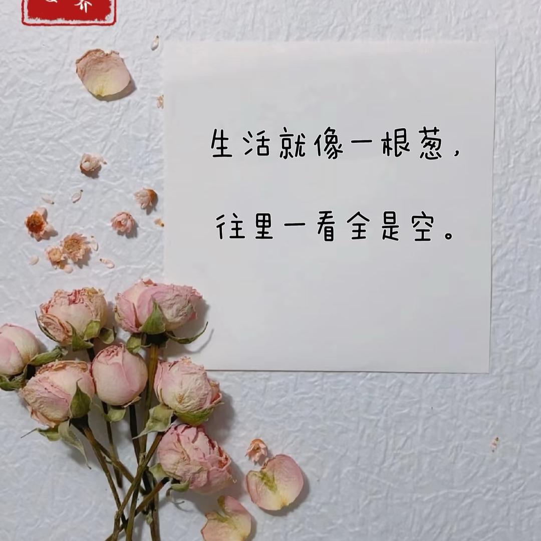 雾霭衣橱（Mist Closet）