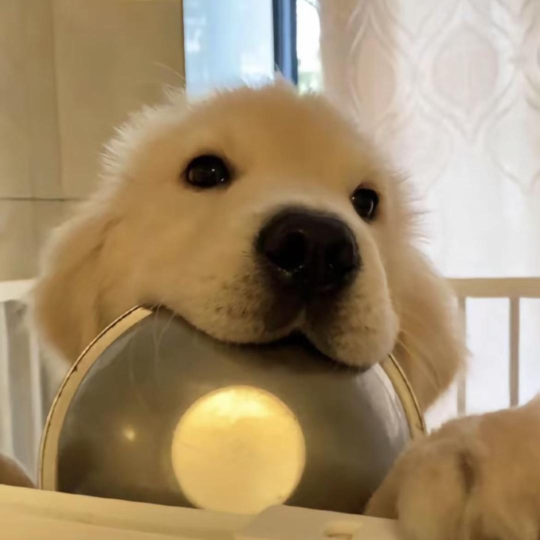 A曼奈尔     小胡