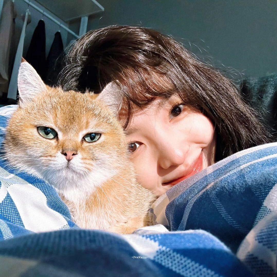 ᅠᅠᅠᅠᅠᅠᅠᅠᅠᅠᅠᅠ