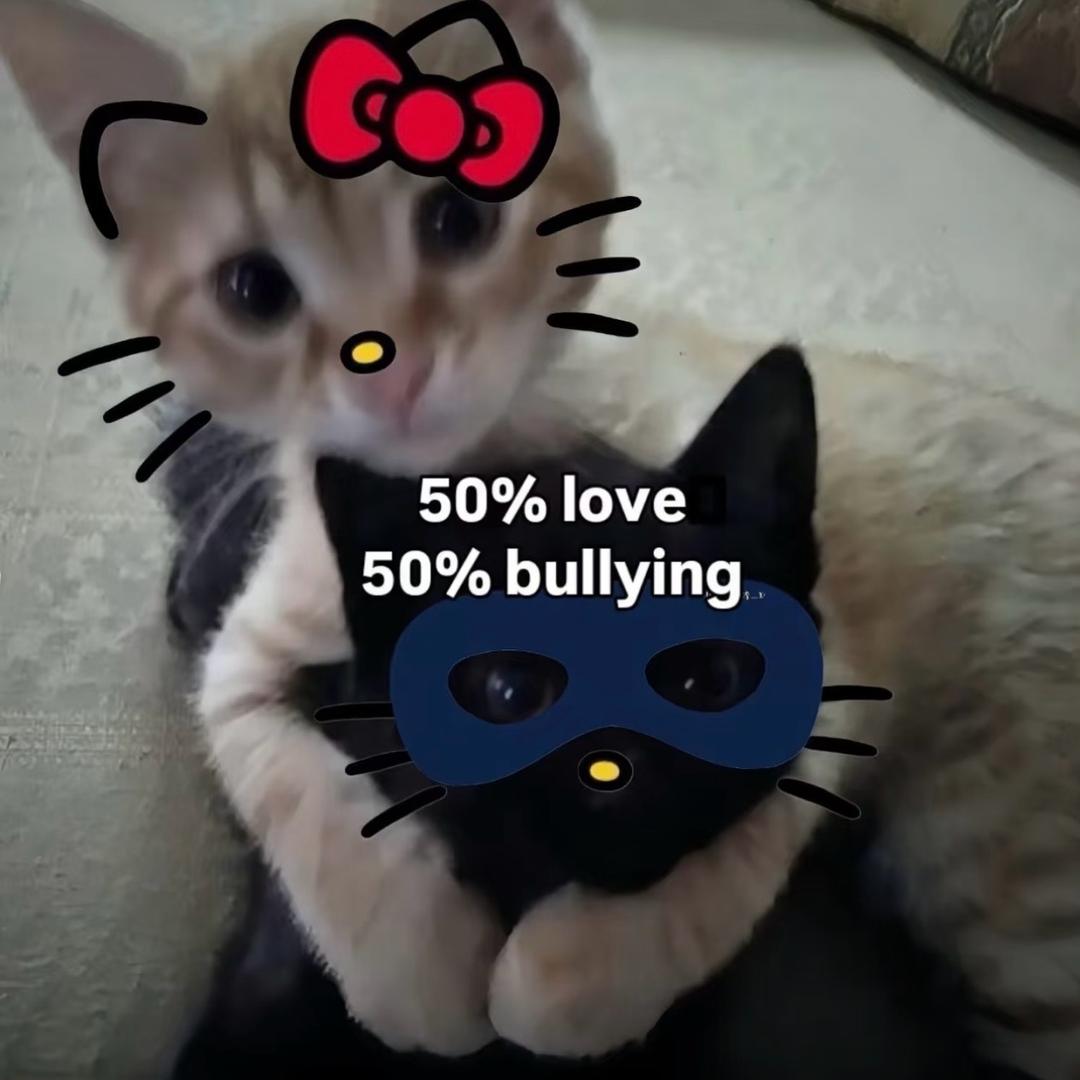 pp