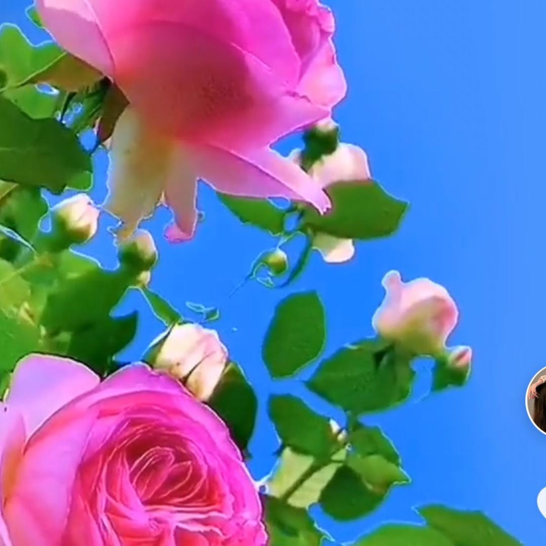 谢远霞