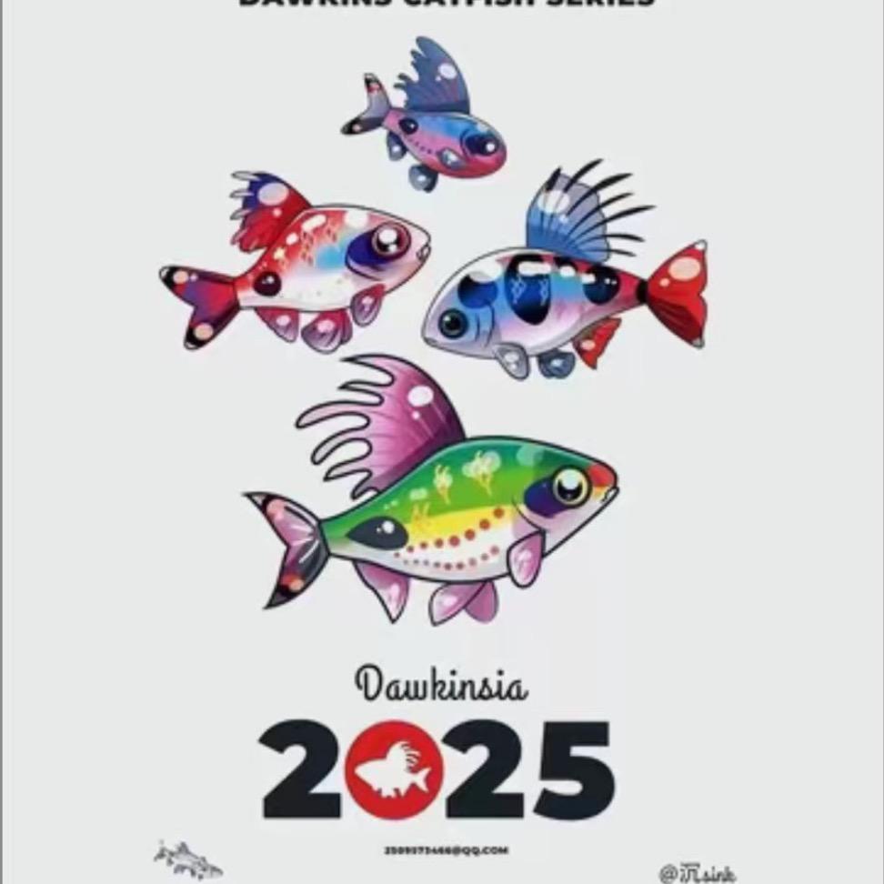 🌈大飛学养鱼🌈