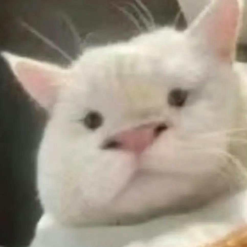 风月
