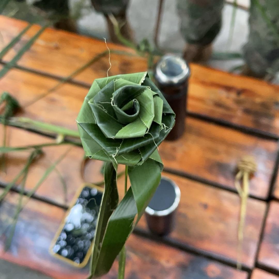 重生之我在苓茏苑当牛马