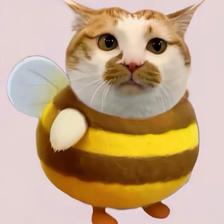 猫猫-