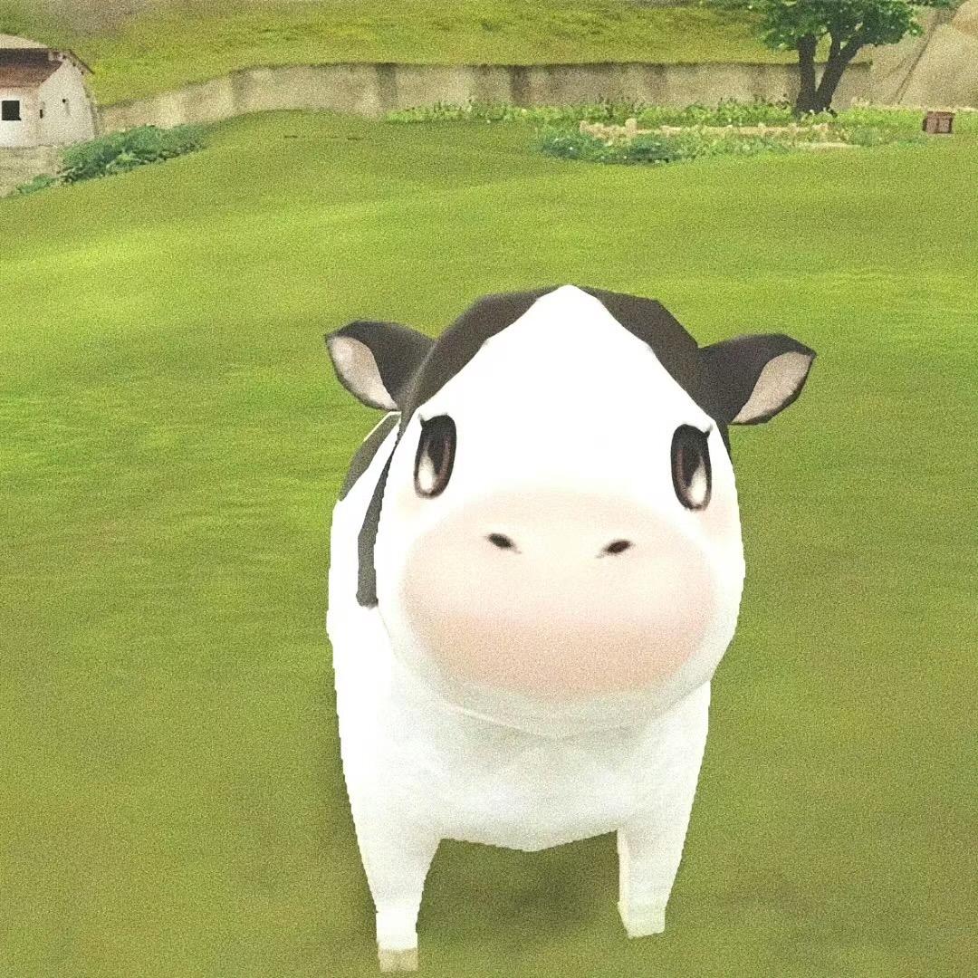 有钞能力