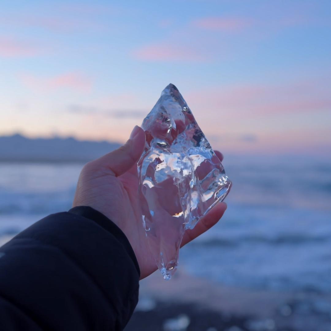鱼加宝📷