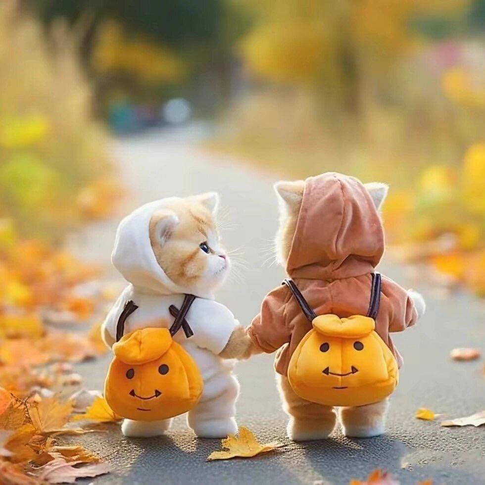 俩个小可爱，人见人爱😍