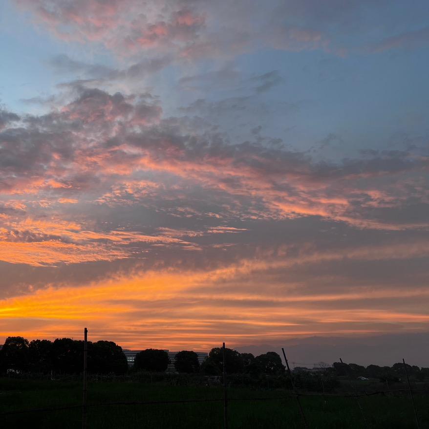 将众人护在身前