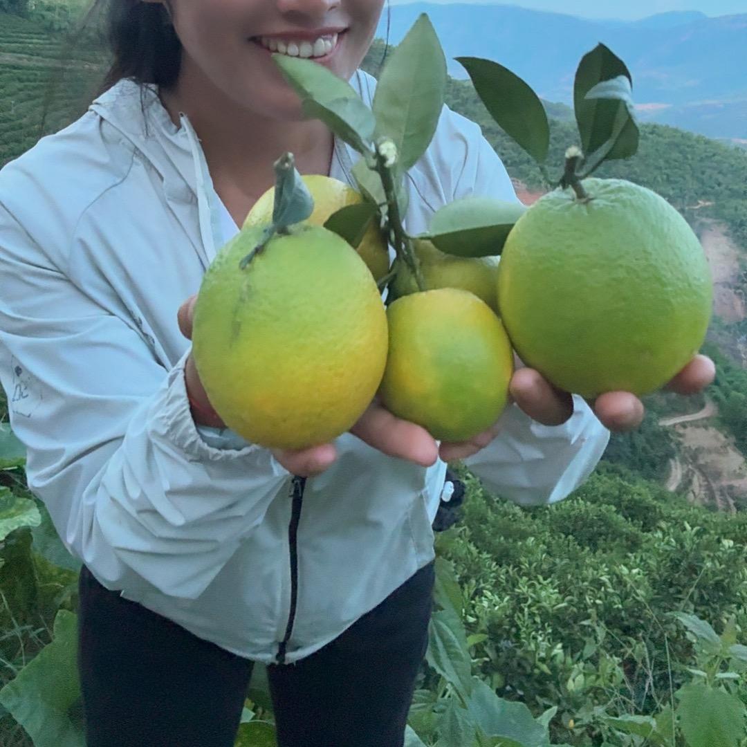 66鲜果