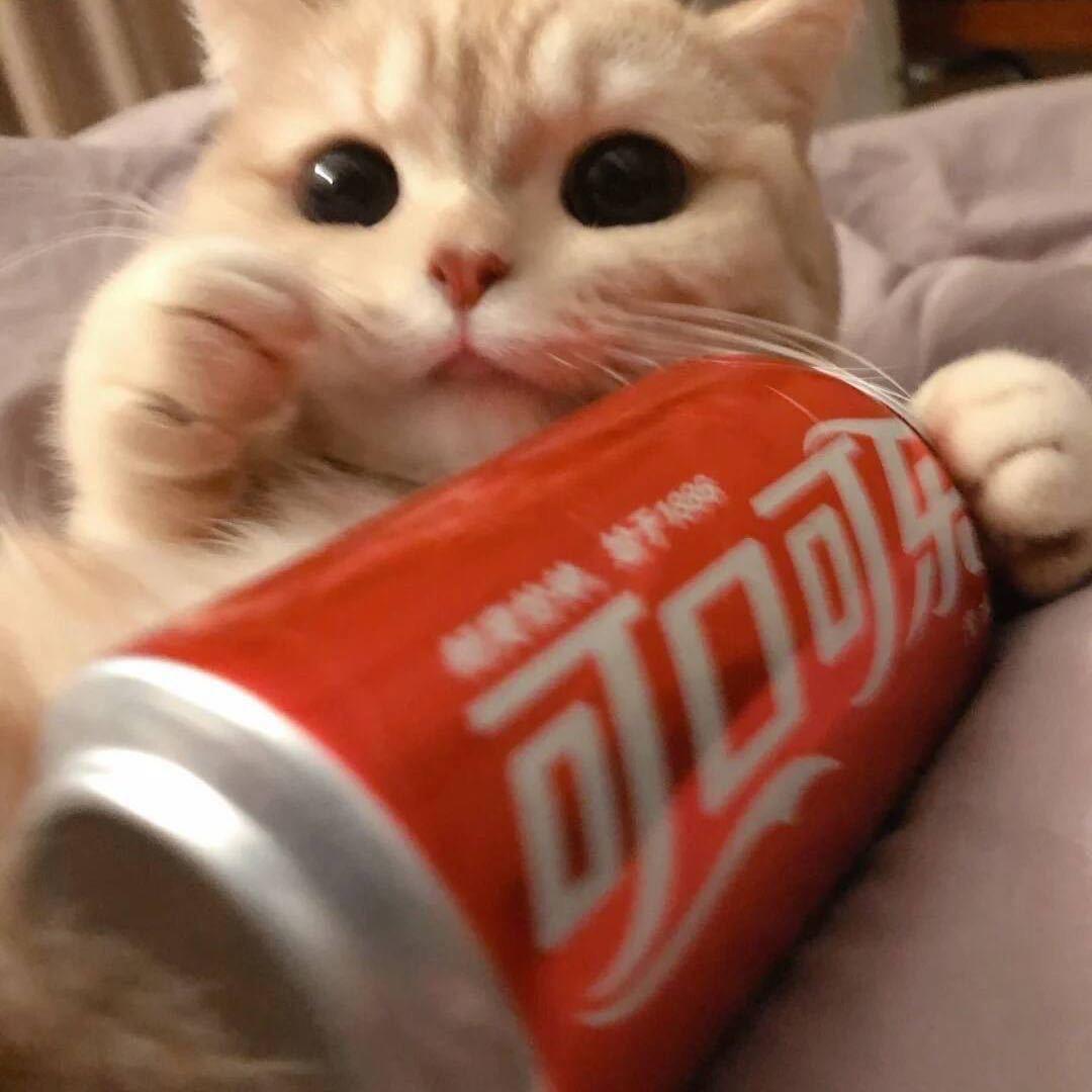 LaoMo