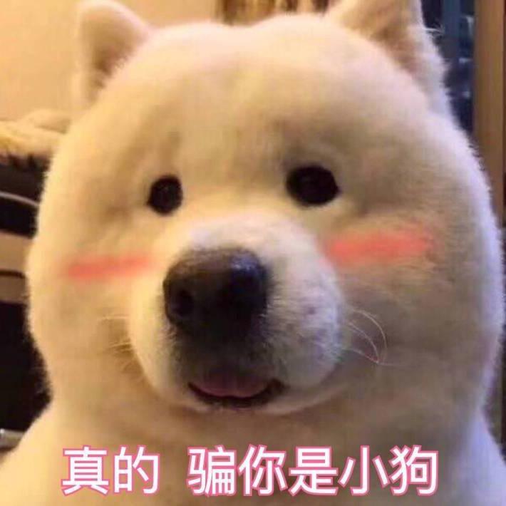 An_line