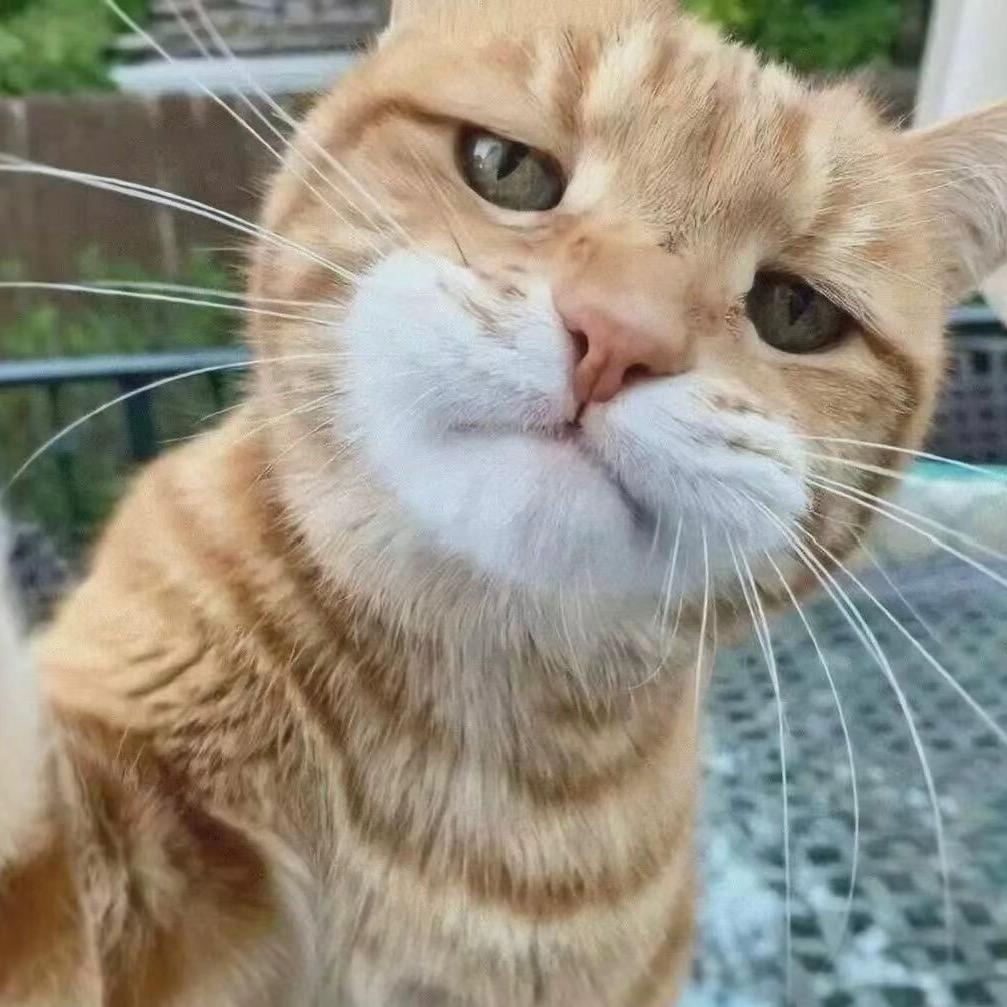 A-超阅摩托-小廖（全国可物流）