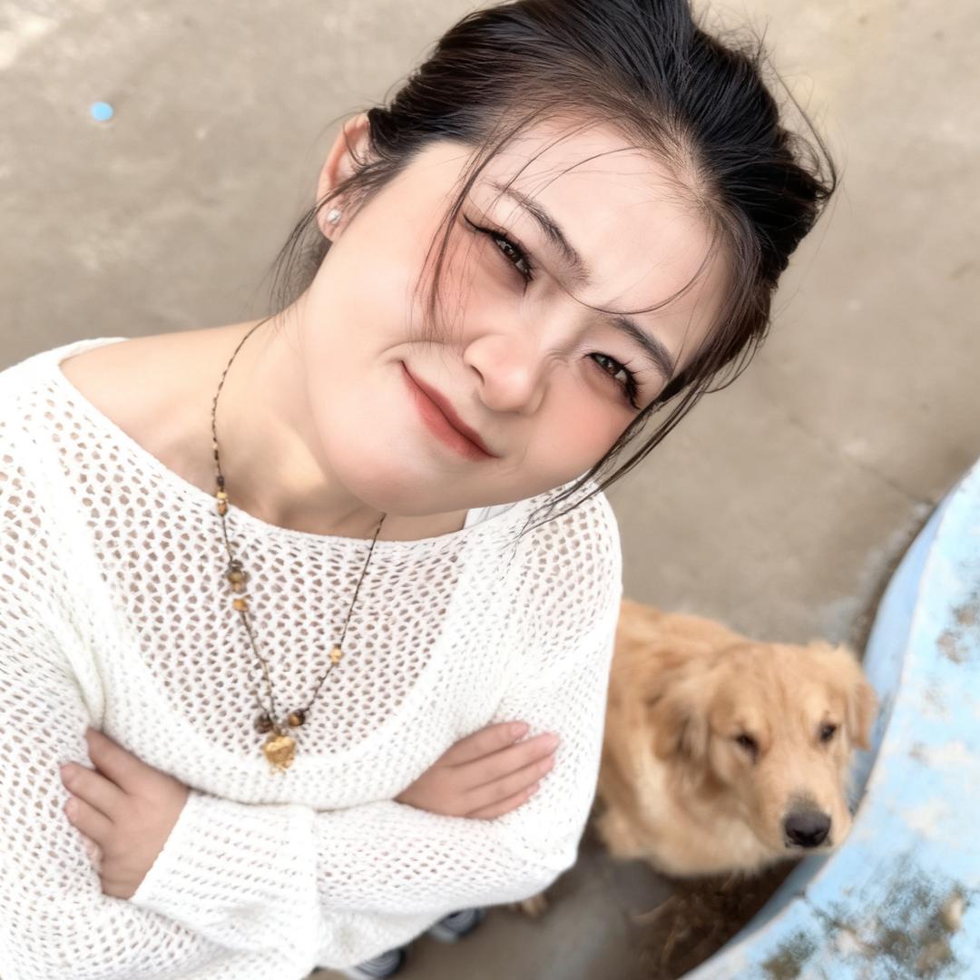 北北（流浪版）