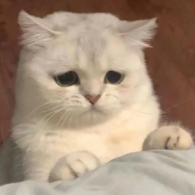19.