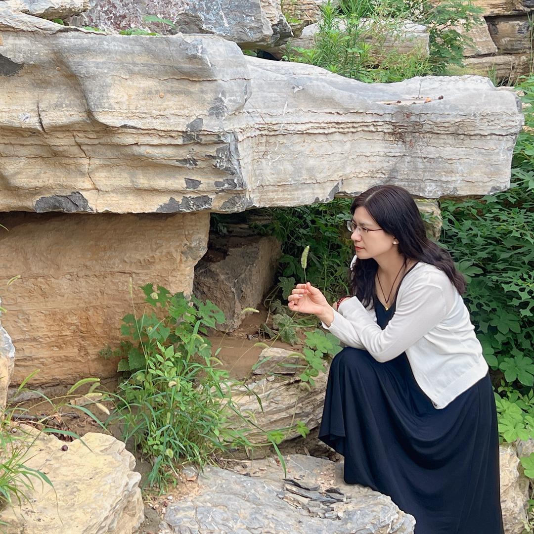 核桃鲜风鲜核桃仁云舒