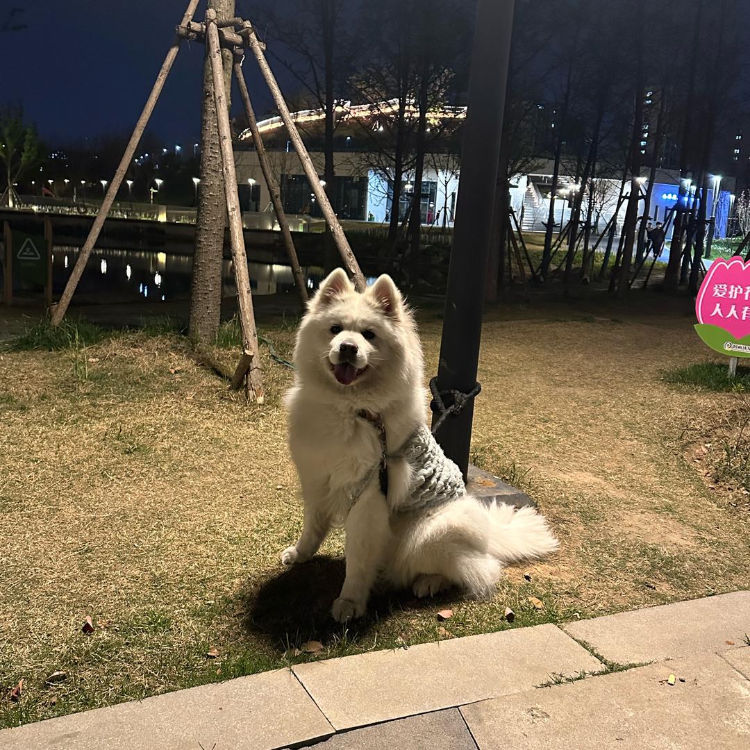 小萨多多