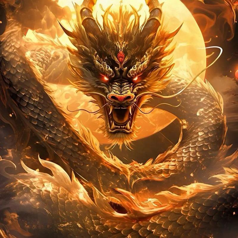 🐉龙善缘🐉