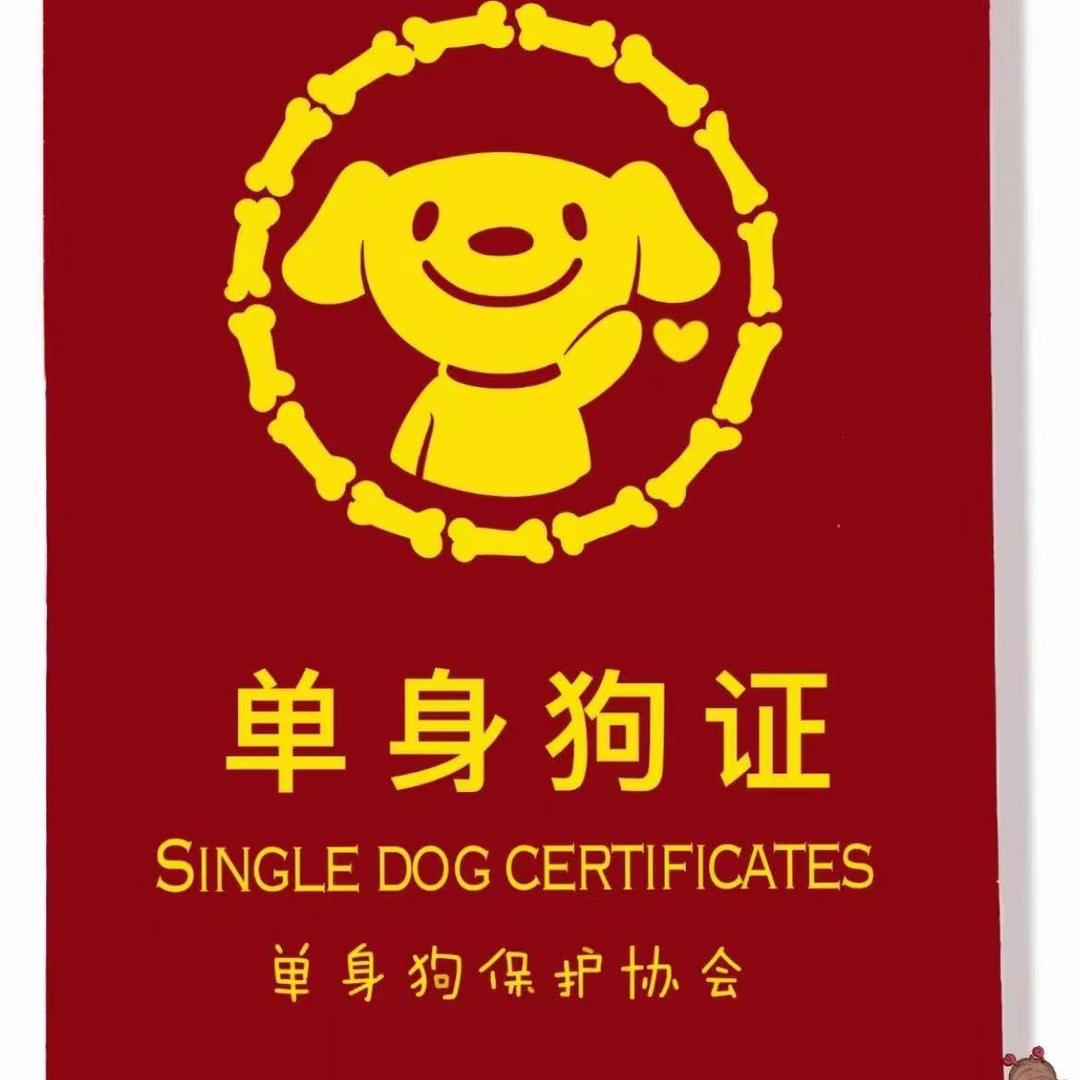 眼李皆心成