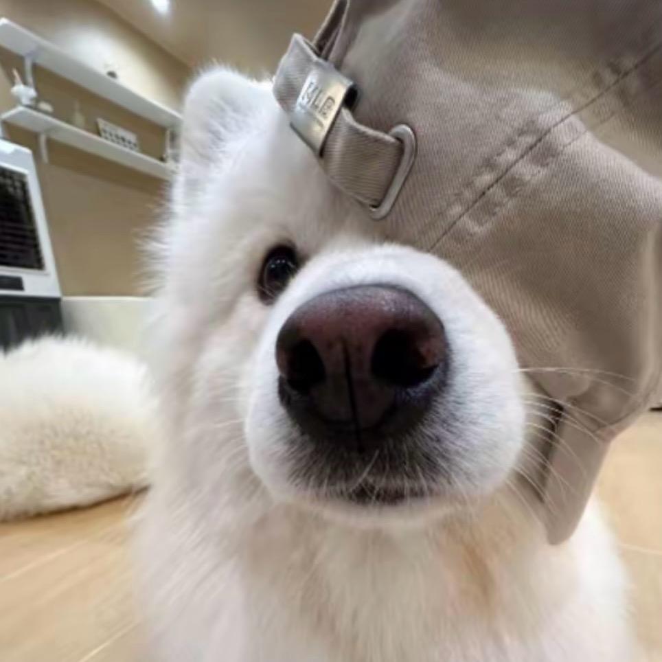 奇怪的lDDD.