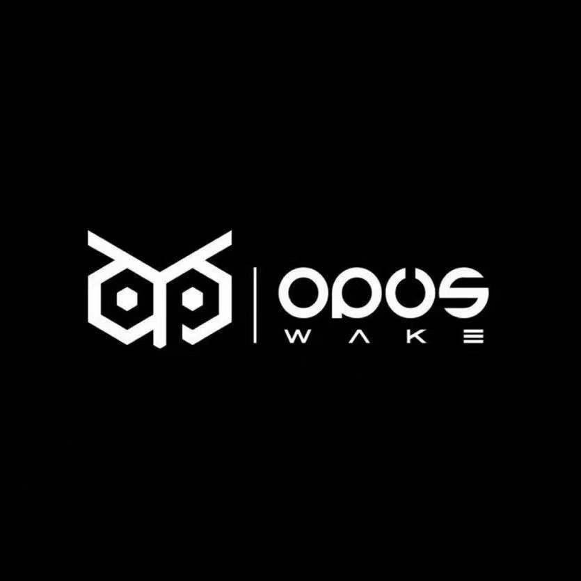 阜阳欧贝斯OPUS CLUB