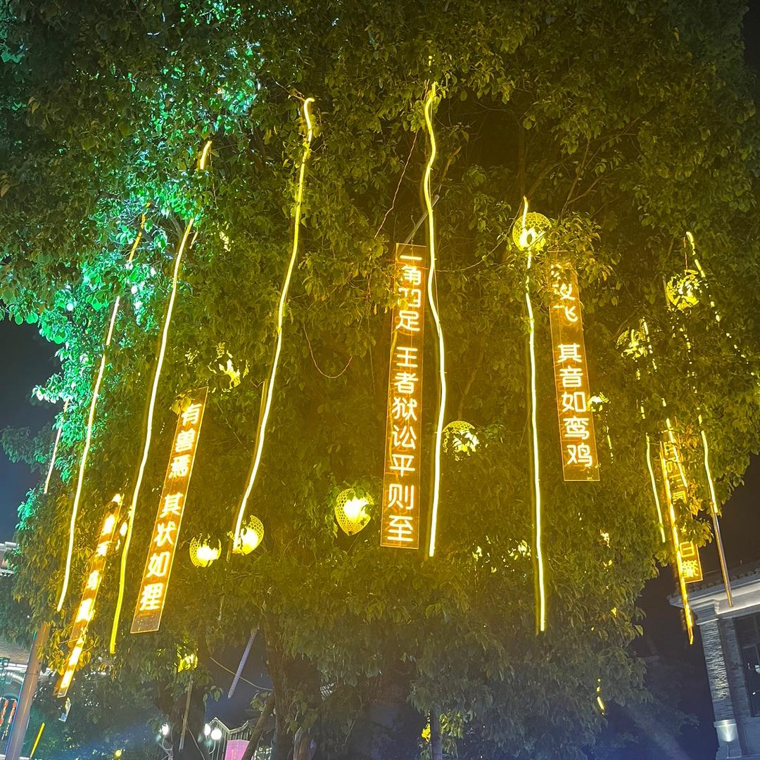 诗和远方的小船