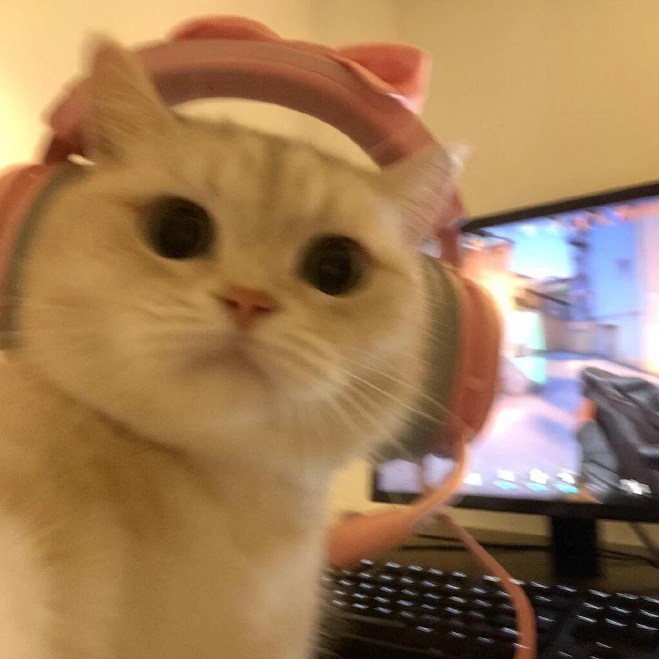 毐汤圆