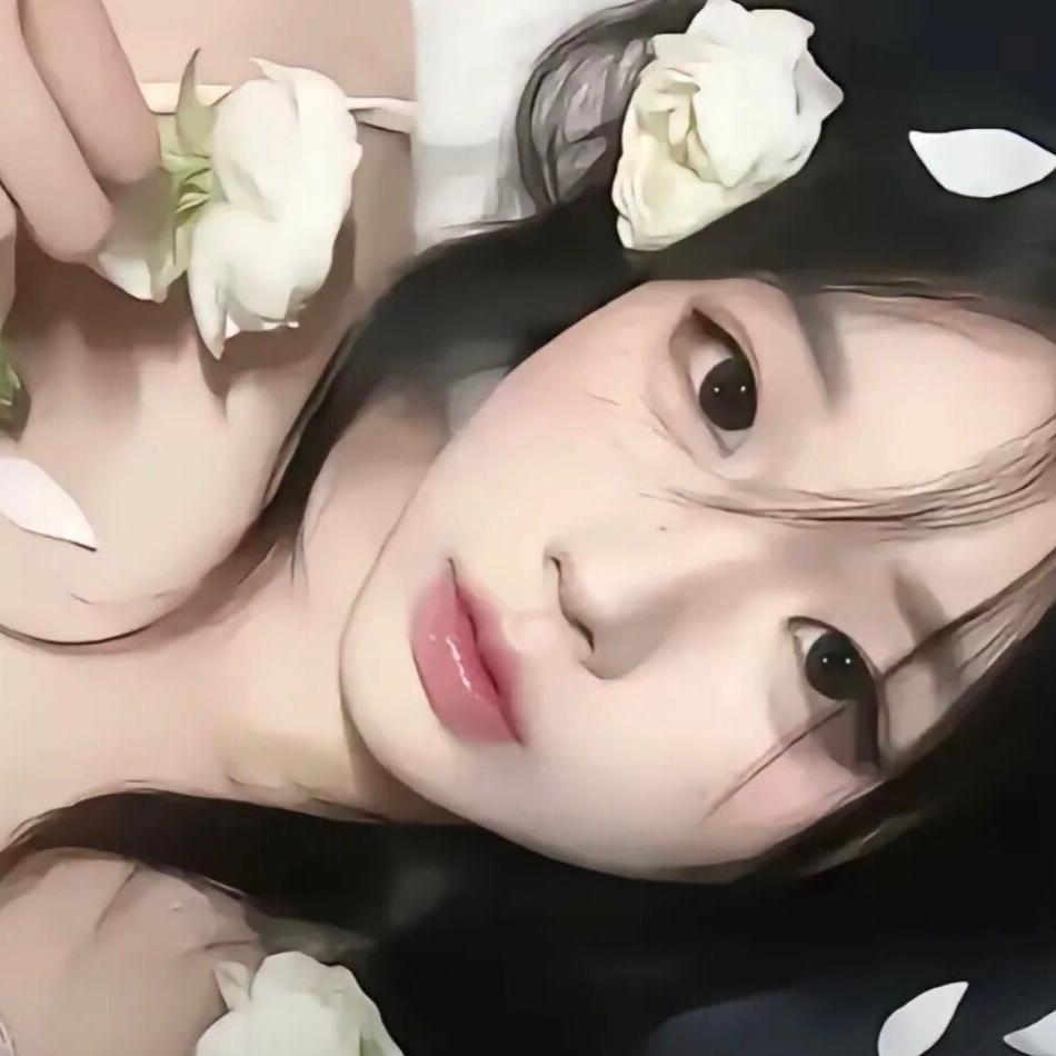 呆呆🌷