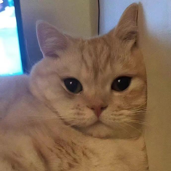 LL