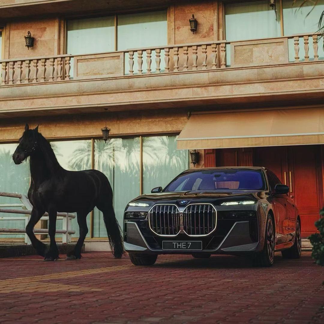 青岛宝马首席执行官