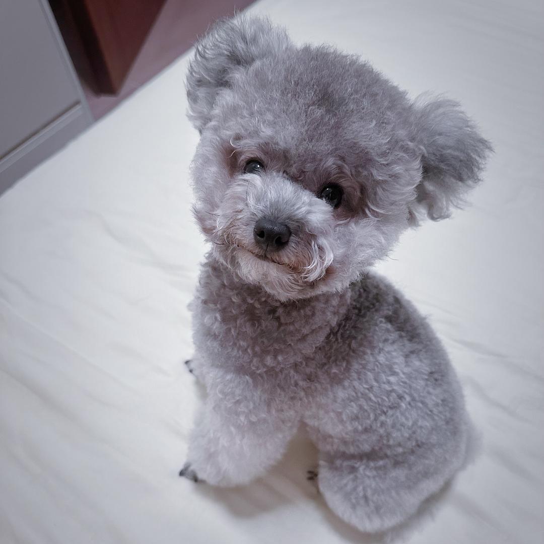 钱💰多多多🐶