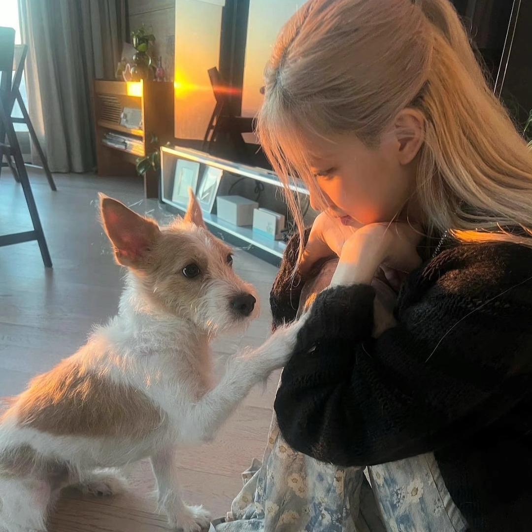 kiki·