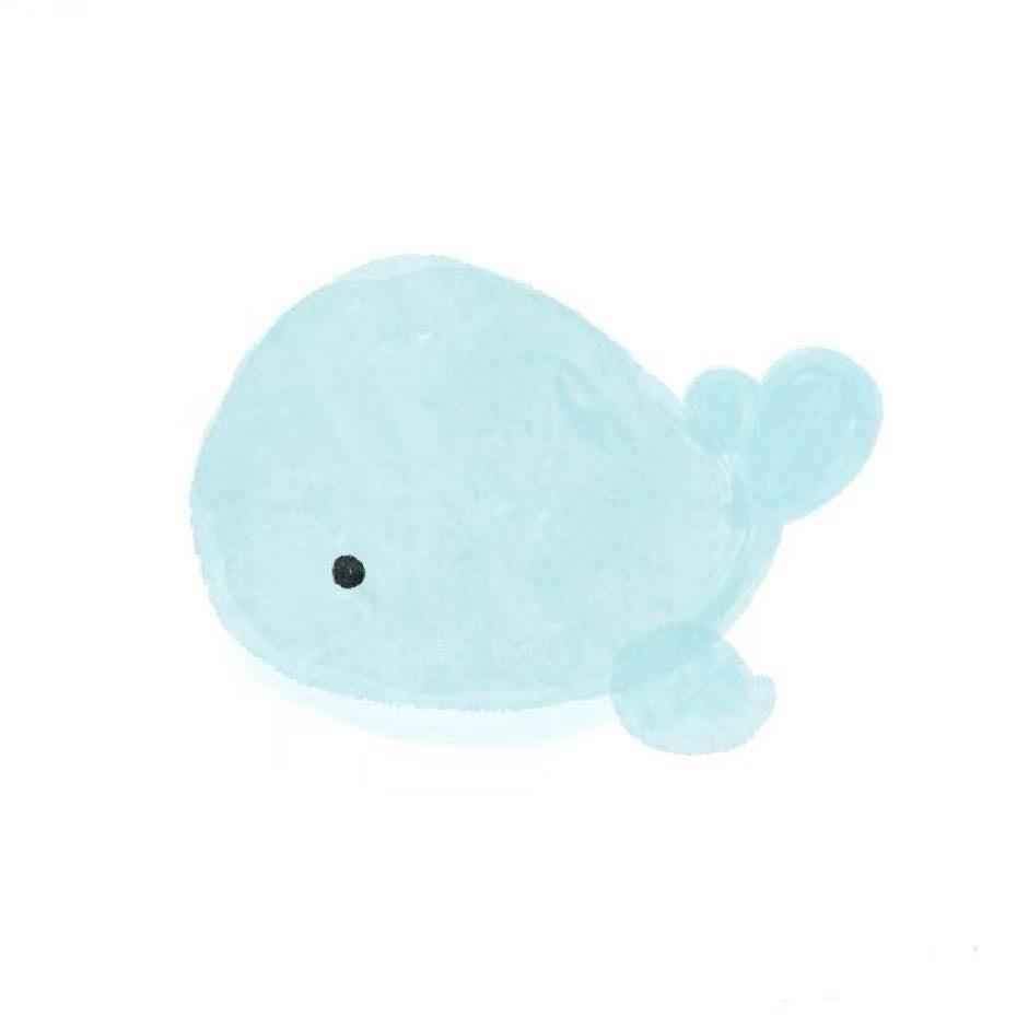 鲸鱼呀🐳